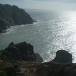 DSC00667-w740_h495